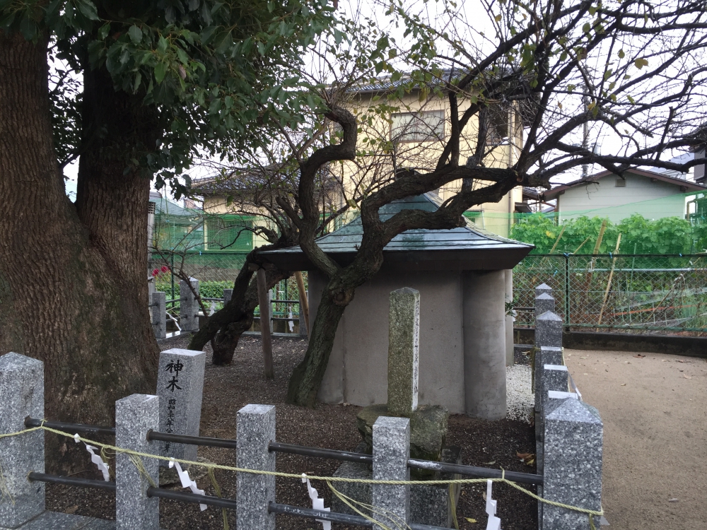 A grave of Kumamaro and six-petaled plum