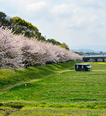 Mizuki Fortress Ruins