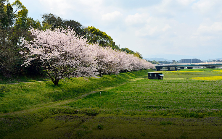 水城跡