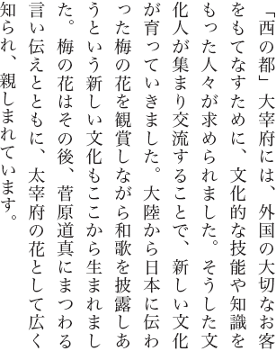 「西の都」大宰府には、外国の大切なお客をもてなすために、文化的な技能や知識をもった人々が求められました。そうした文化人が集まり交流することで、新しい文化が育っていきました。大陸から日本に伝わった梅の花を観賞しながら和歌を披露しあうという新しい文化もここから生まれました。梅の花はその後、菅原道真にまつわる言い伝えとともに、太宰府の花として広く知られ、親しまれています。