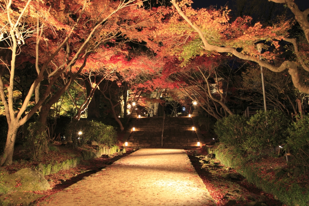 宝満山の画像