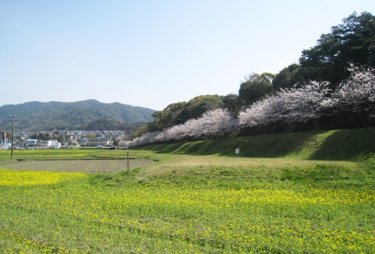 水城遺址